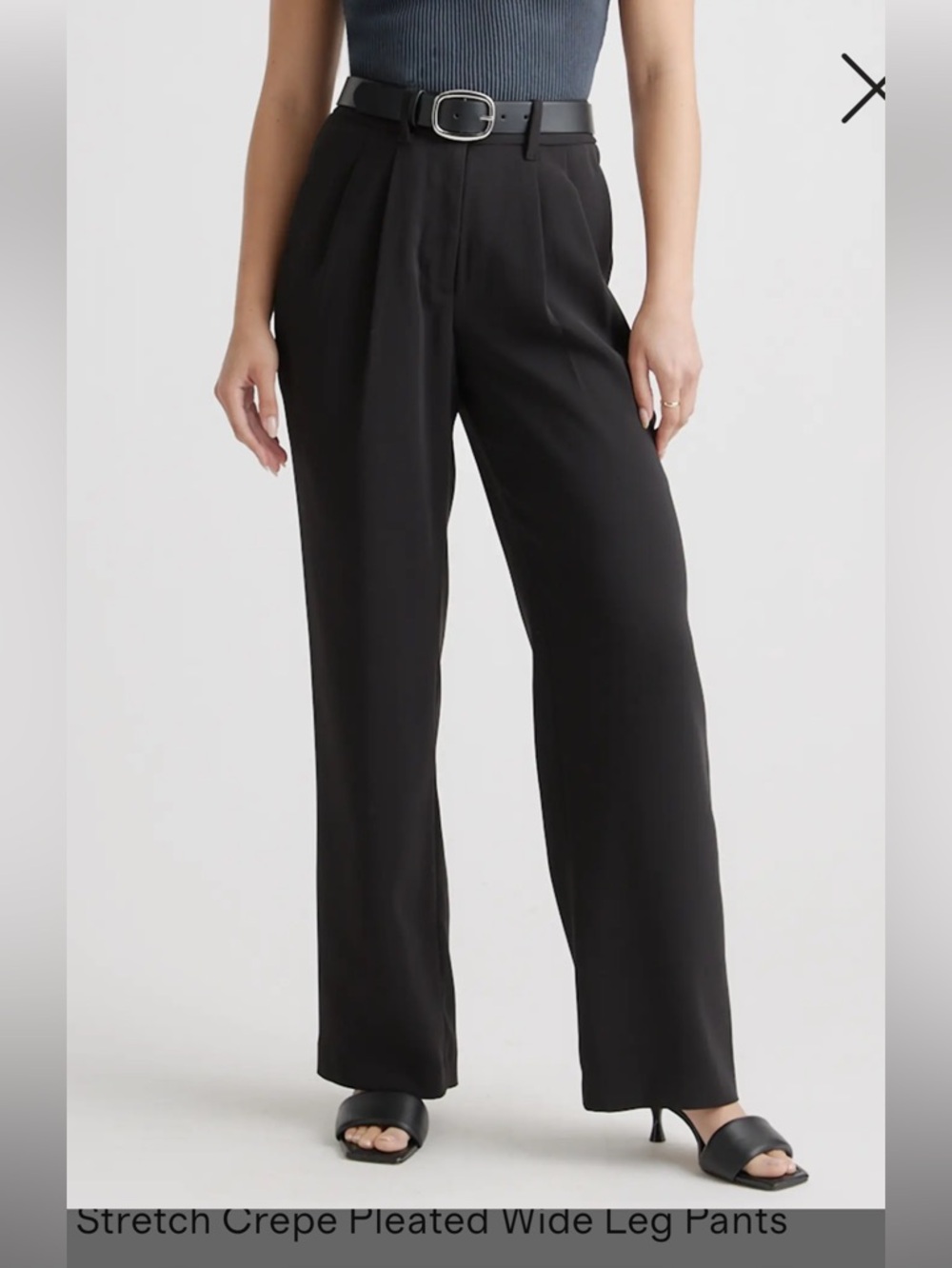 Quince Stretch Crepe Pleated Wide Leg Pant Size 6/ 32in inseam, Black